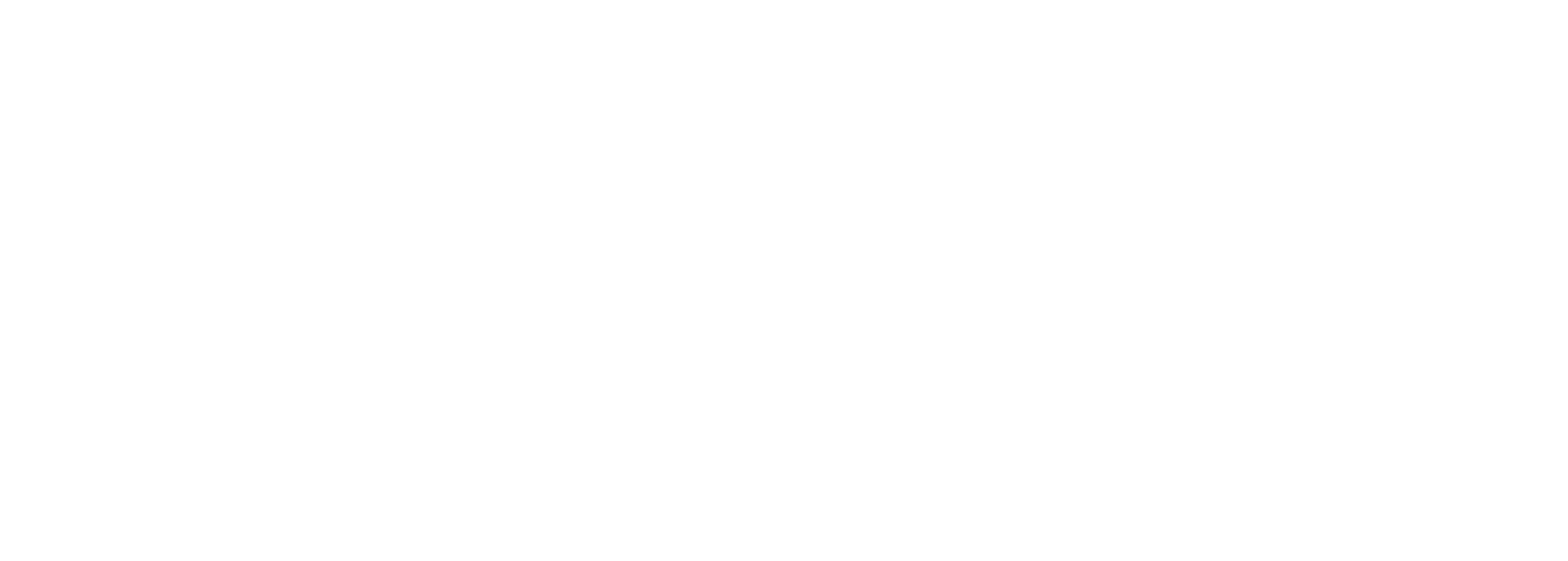 SkillMetry